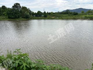 新津永商25亩鱼塘出租