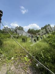 惠阳区80亩水浇地经营权出租