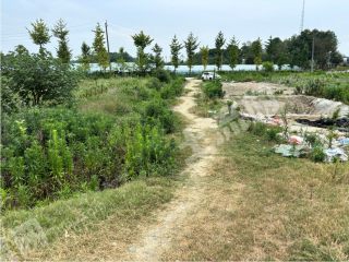 新都军屯成德大道旁34亩耕地出租（可搭大棚）