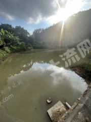 近深惠阳区2.5亩坑塘水面经营权出租