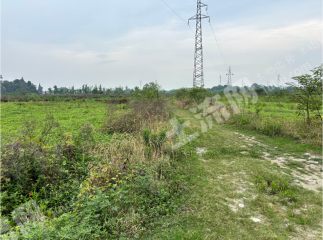 新都军屯成德大道附近40亩耕地出租（可搭大棚）