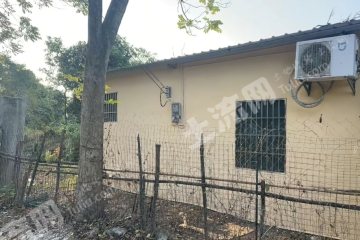 惠州惠城区5亩农场使用权出租