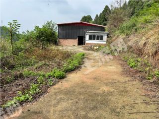 仁寿高家镇50亩养殖场地转让