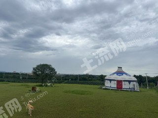 宣城郎溪县庄园430亩果园可做农文旅休闲度假