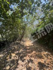 惠州60亩园地带鱼塘出租