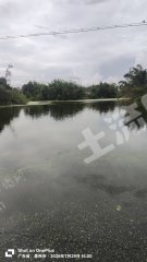 惠州惠城区马安25亩鱼塘带房出租
