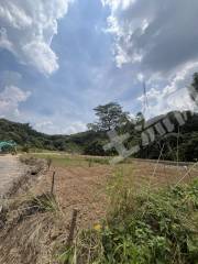 近深惠阳区20亩水浇地带活水鱼塘经营权出租