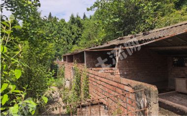 金堂县城附近120亩林地养殖场出租