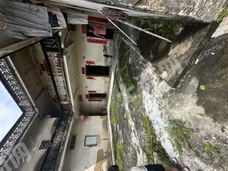惠州惠城区马安600平农家庭院出租