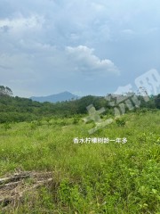 惠东县九龙峰50亩柠檬园带鱼塘出租