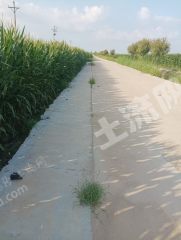 新乡封丘县410亩水浇地经营权出租XX1969