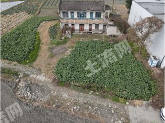都江堰郫都交界处附近 600平方米农村宅基地转让
